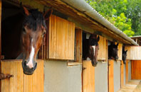 free Ganllwyd stable construction quotes